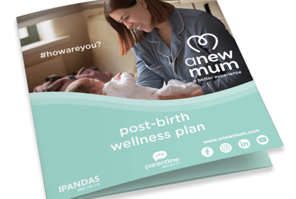 anewmum post-birth postnatal postpartum wellness plan free